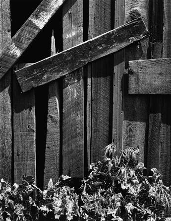 ANSEL ADAMS (1902-1984) Boards and Thistles * Gerry Sharpe * Weathered Oil Drum, Yosemite Valley.